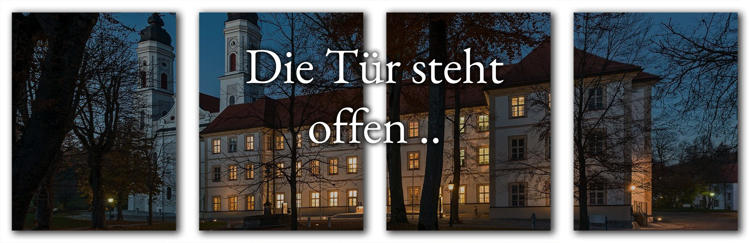 wahl sw